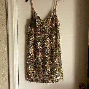 Le Superbe Sequin Dress